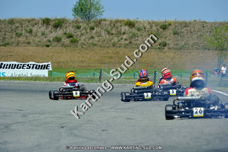 DSC_ (1492).jpg